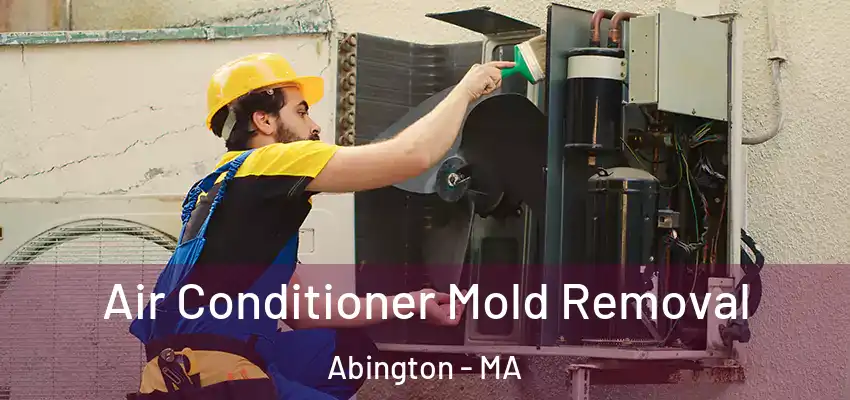  Air Conditioner Mold Removal Abington - MA