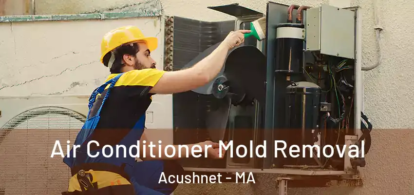 Air Conditioner Mold Removal Acushnet - MA
