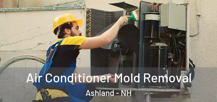  Air Conditioner Mold Removal Ashland - NH