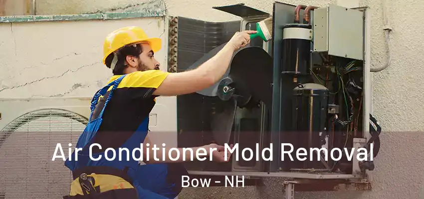 Air Conditioner Mold Removal Bow - NH