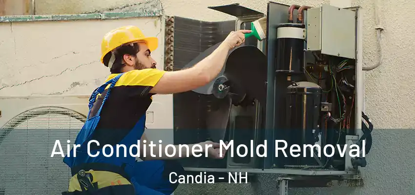  Air Conditioner Mold Removal Candia - NH
