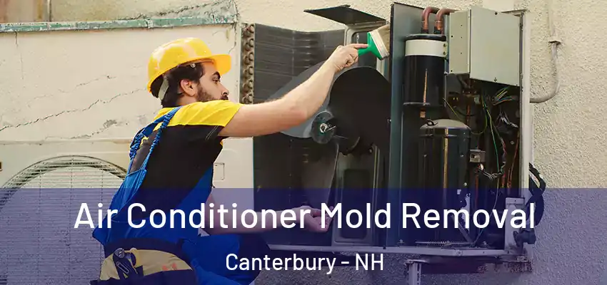  Air Conditioner Mold Removal Canterbury - NH