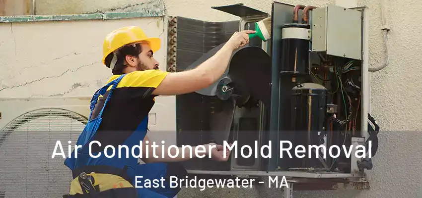 Air Conditioner Mold Removal East Bridgewater - MA