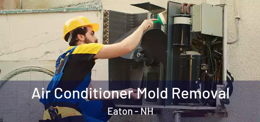 Air Conditioner Mold Removal Eaton - NH