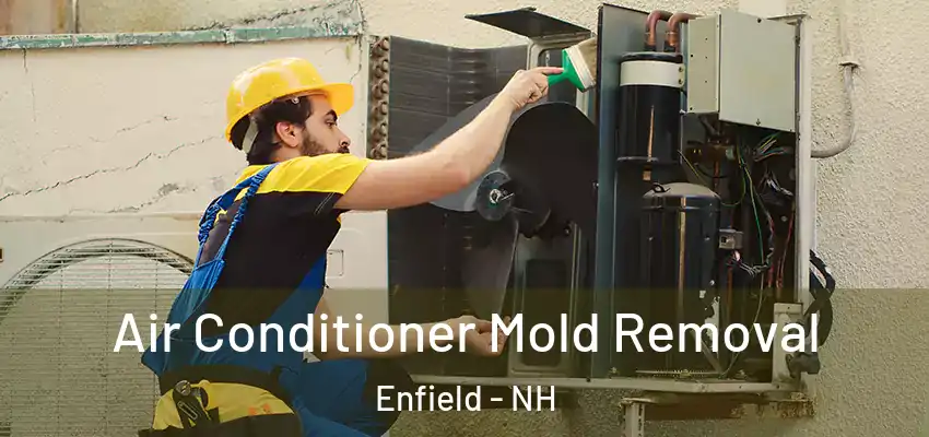  Air Conditioner Mold Removal Enfield - NH
