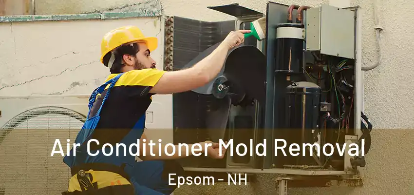 Air Conditioner Mold Removal Epsom - NH