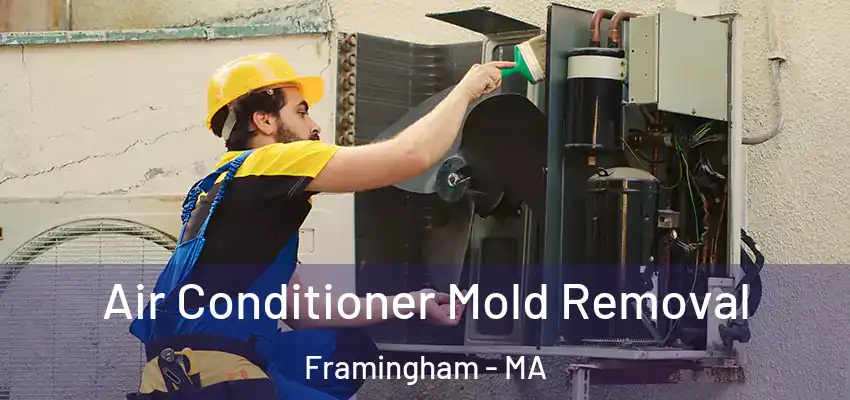 Air Conditioner Mold Removal Framingham - MA