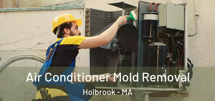 Air Conditioner Mold Removal Holbrook - MA