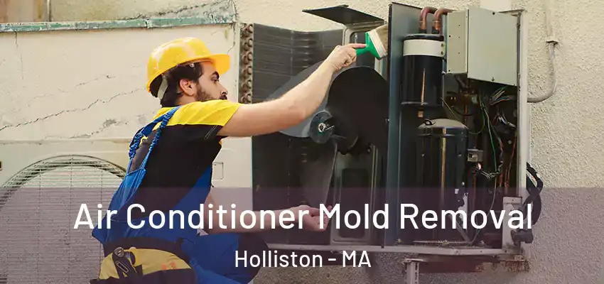  Air Conditioner Mold Removal Holliston - MA