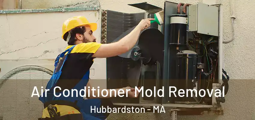  Air Conditioner Mold Removal Hubbardston - MA