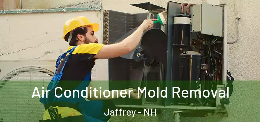  Air Conditioner Mold Removal Jaffrey - NH