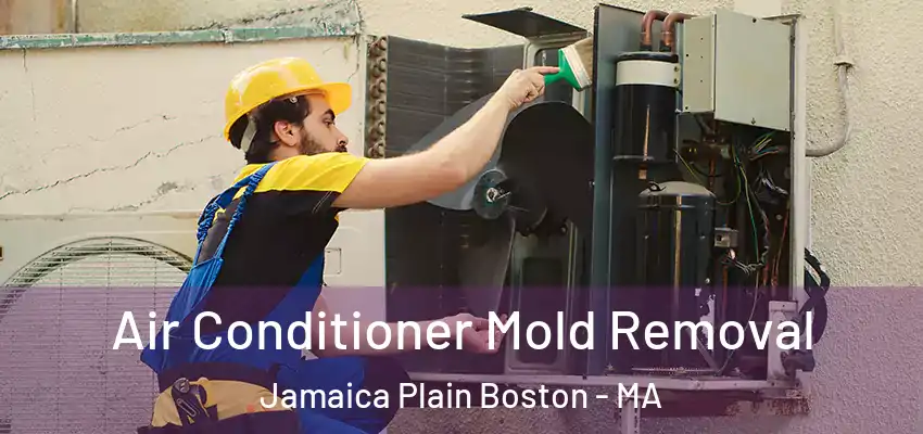 Air Conditioner Mold Removal Jamaica Plain Boston - MA