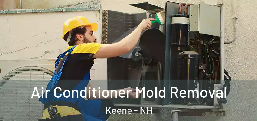  Air Conditioner Mold Removal Keene - NH