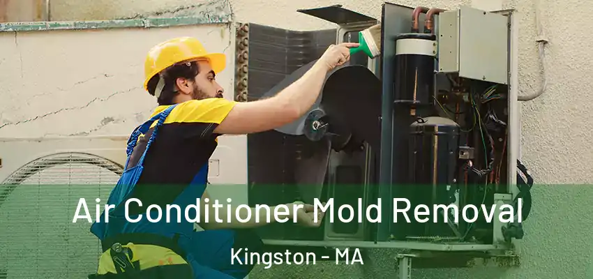 Air Conditioner Mold Removal Kingston - MA
