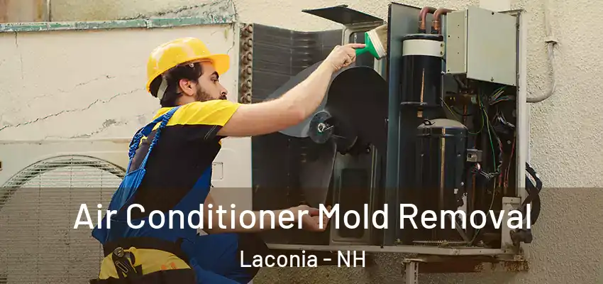 Air Conditioner Mold Removal Laconia - NH