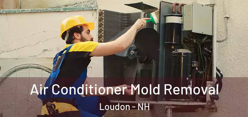 Air Conditioner Mold Removal Loudon - NH