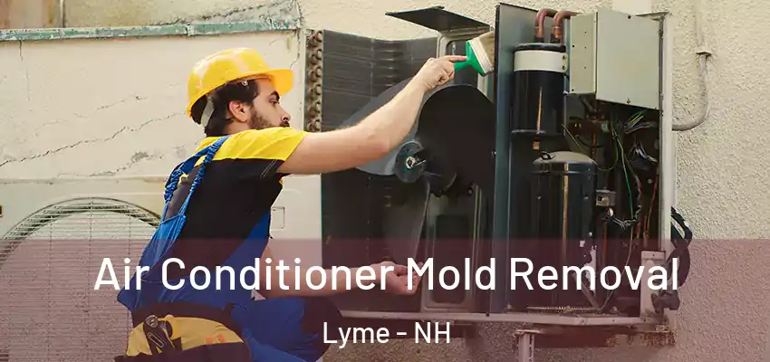 Air Conditioner Mold Removal Lyme - NH
