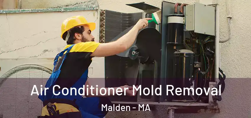  Air Conditioner Mold Removal Malden - MA