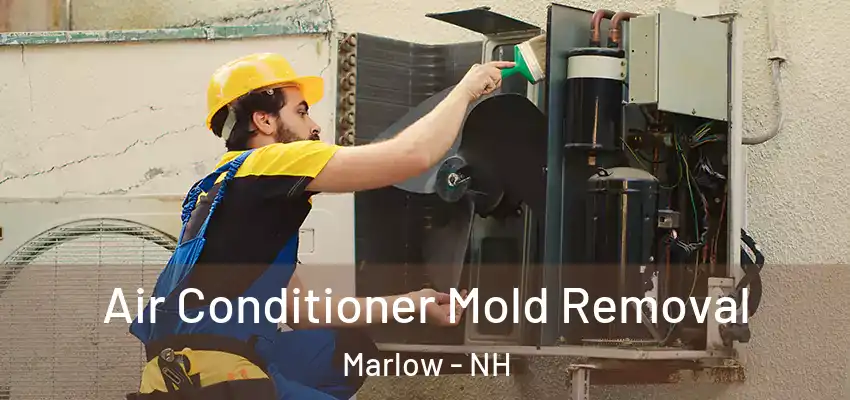 Air Conditioner Mold Removal Marlow - NH