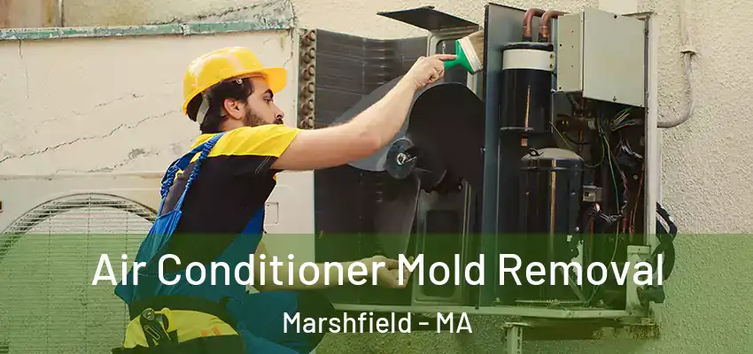  Air Conditioner Mold Removal Marshfield - MA