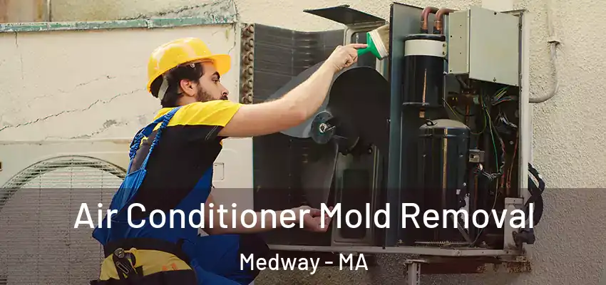  Air Conditioner Mold Removal Medway - MA