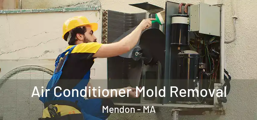 Air Conditioner Mold Removal Mendon - MA