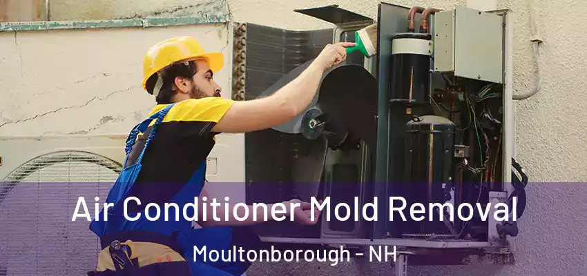 Air Conditioner Mold Removal Moultonborough - NH