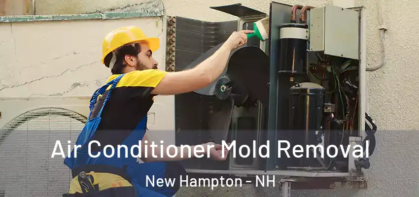 Air Conditioner Mold Removal New Hampton - NH