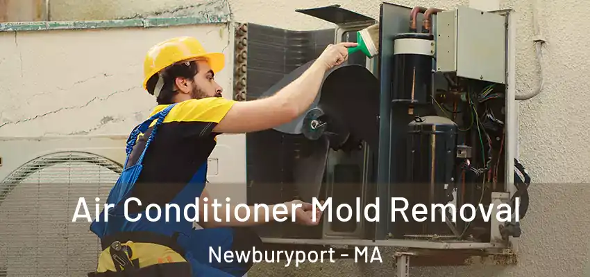 Air Conditioner Mold Removal Newburyport - MA