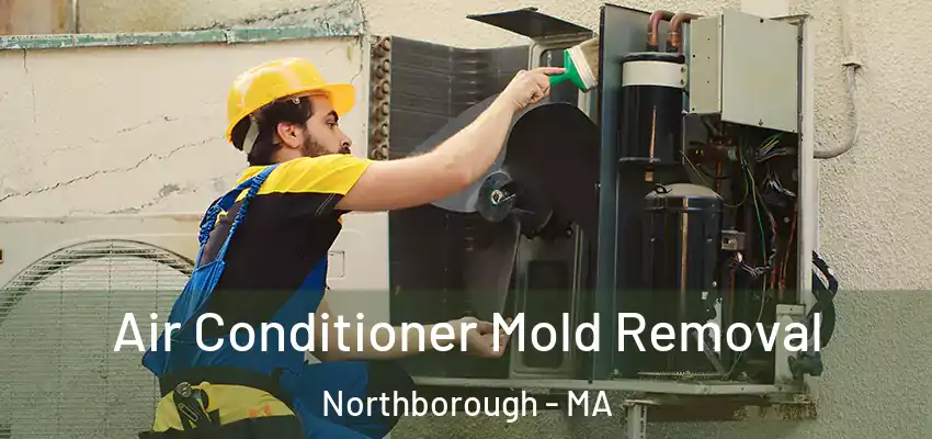  Air Conditioner Mold Removal Northborough - MA