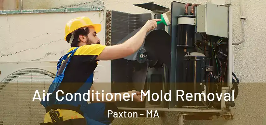  Air Conditioner Mold Removal Paxton - MA