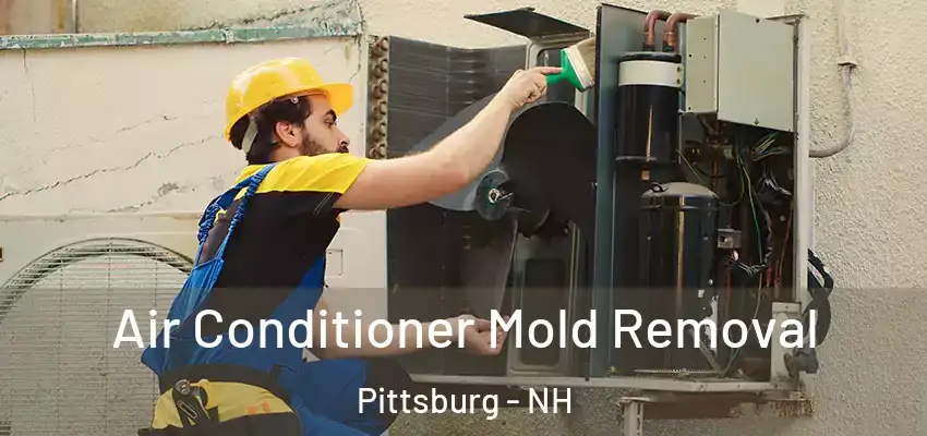  Air Conditioner Mold Removal Pittsburg - NH