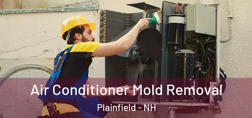 Air Conditioner Mold Removal Plainfield - NH