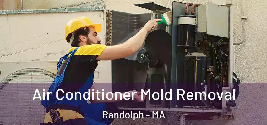  Air Conditioner Mold Removal Randolph - MA