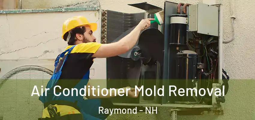  Air Conditioner Mold Removal Raymond - NH