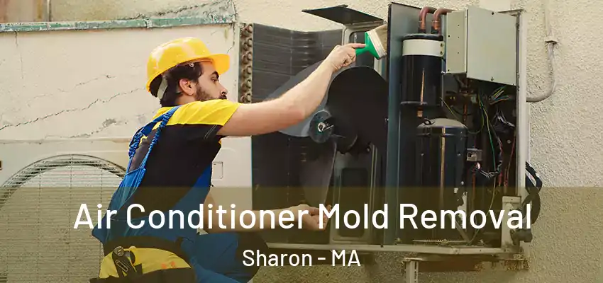 Air Conditioner Mold Removal Sharon - MA