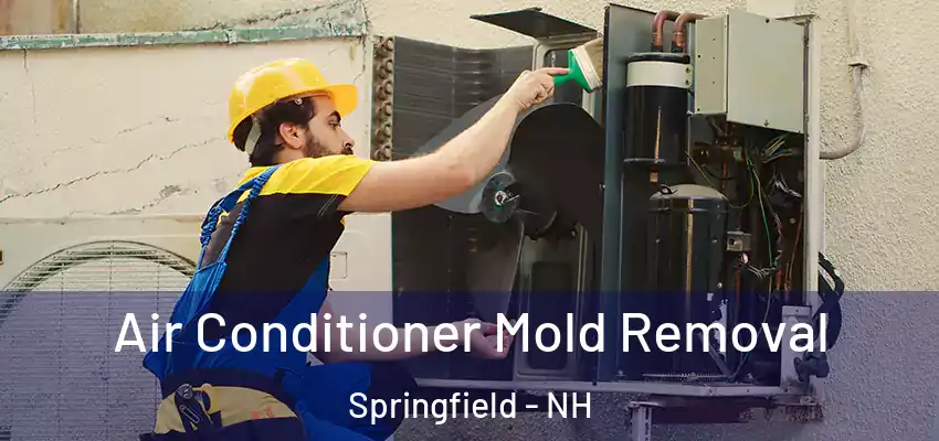 Air Conditioner Mold Removal Springfield - NH