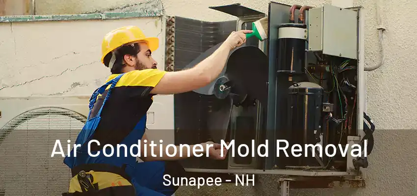  Air Conditioner Mold Removal Sunapee - NH