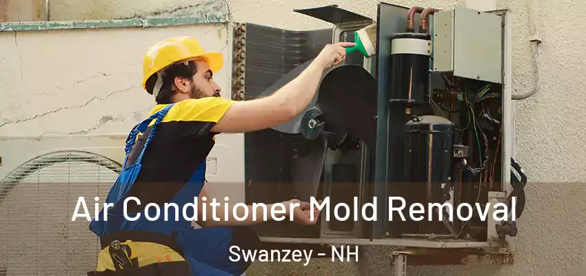 Air Conditioner Mold Removal Swanzey - NH