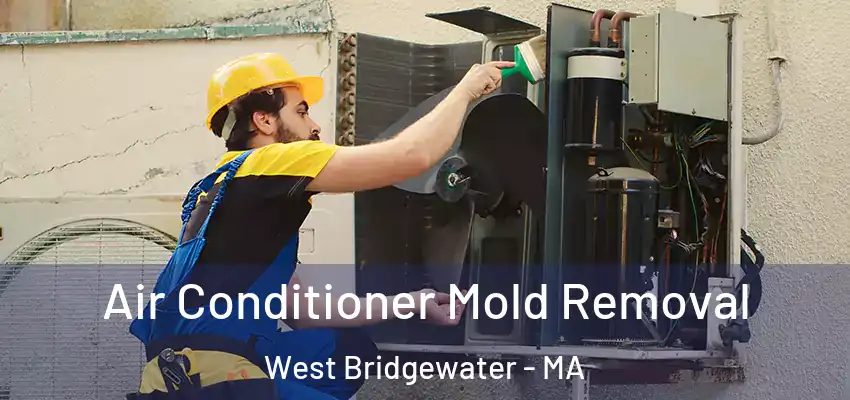  Air Conditioner Mold Removal West Bridgewater - MA