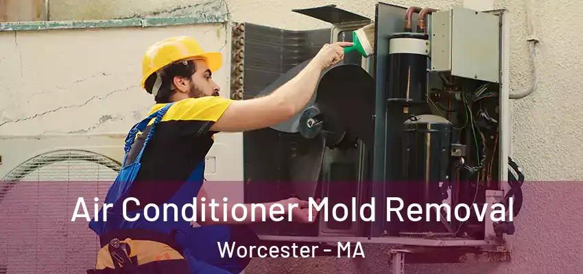 Air Conditioner Mold Removal Worcester - MA