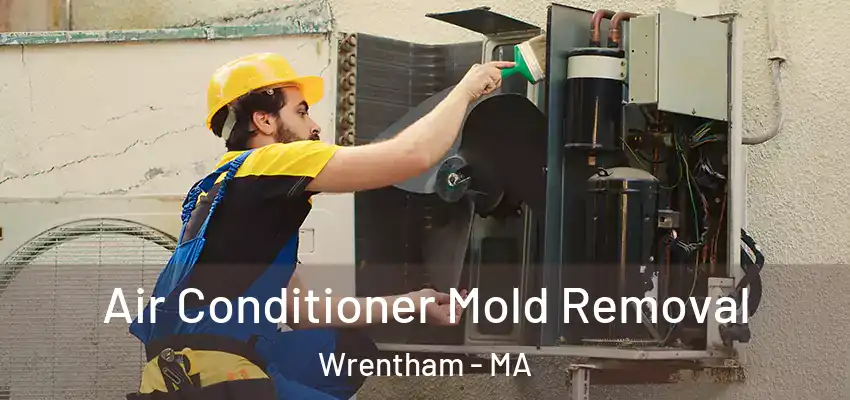 Air Conditioner Mold Removal Wrentham - MA