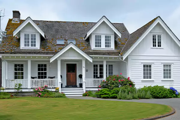 Mold Removal Services in Boston, MA