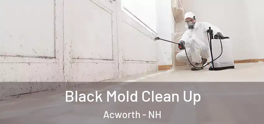 Black Mold Clean Up Acworth - NH