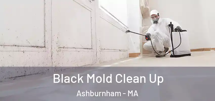 Black Mold Clean Up Ashburnham - MA