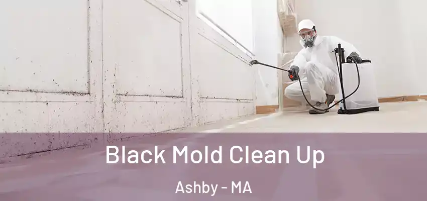 Black Mold Clean Up Ashby - MA