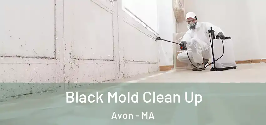 Black Mold Clean Up Avon - MA