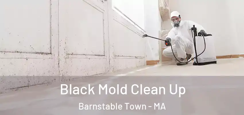 Black Mold Clean Up Barnstable Town - MA