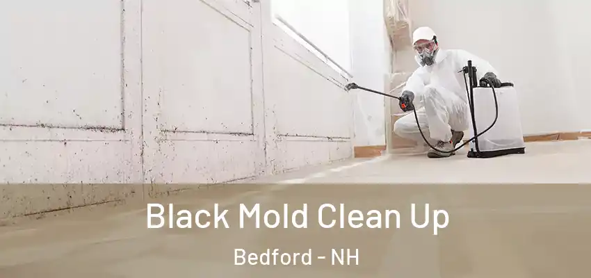 Black Mold Clean Up Bedford - NH