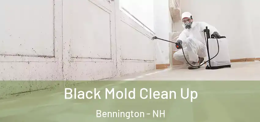Black Mold Clean Up Bennington - NH